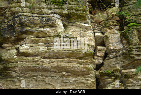 natürliche Outdoor-Fotografie einer moosigen geschichteten Felsformation Stockfoto