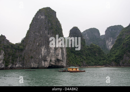 Halong-Bucht in Vietnam, Asien Stockfoto
