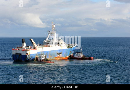 Ein Ozean-Fischerboot wird eingespannt durch zwei Schlepper in die Straße von Magellan.  Punta Arenas, Chile. Stockfoto