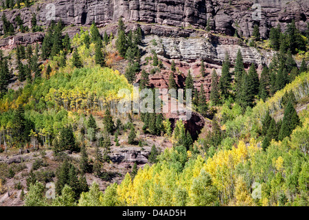 Herbstfarben in Telluride, Colorado Stockfoto