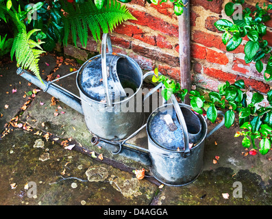 Paar aus galvanisiertem Metall Gießkannen Stockfoto