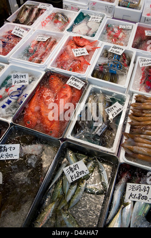 Eine Vielzahl von frischen Fisch zum Verkauf in den Händlerbereich an Großhandel Tsukiji-Fischmarkt, weltweit größten Fischmarkt in Tokio Stockfoto