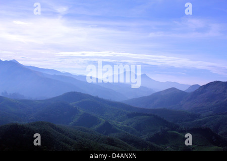 Landschaft, Munnar, Kerala. Stockfoto