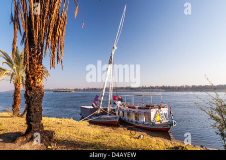 Felucca und Unterstützung Touristenboot vertäut am Ufer des Nils in der Nähe von Assuan bei Sonnenaufgang. Stockfoto