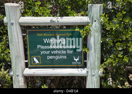 Warnzeichen, suchen Sie unter Fahrzeuge für Pinguine am Boulders Beach in Western Cape - Südafrika Stockfoto