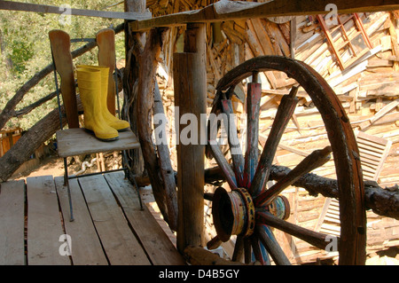 Hotel in den Bäumen, Olympos, Türkei, Westasien Stockfoto