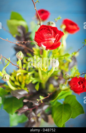 Bouquet von roten Ranunkeln auf blauem Untergrund aus Holz Stockfoto