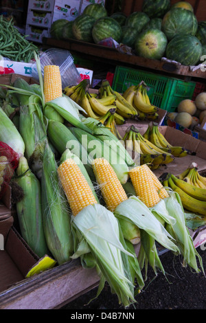 Stall verkaufen frische Maiskolben Bilder aus dem Monat der Carmel-Markt, Tel Aviv, Israel Stockfoto