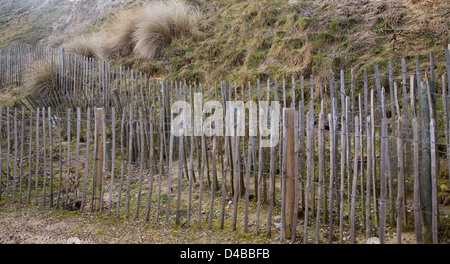 Weiche engineering Küstenschutz in Dunwich, Suffolk, England Stockfoto