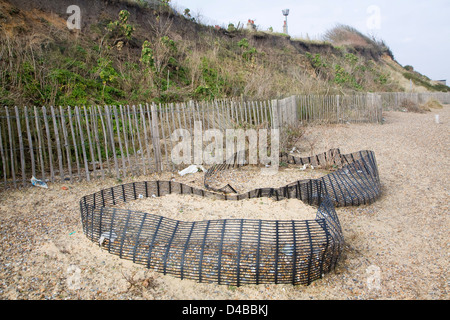 Weiche engineering Küstenschutz in Dunwich, Suffolk, England Stockfoto
