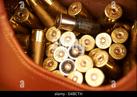 12 Bohrung Gewehr-Patronen in einer Ledertasche Stockfoto