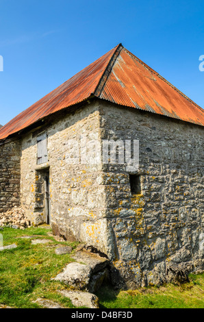 Eine alte Scheune mit einem roten Wellblech-Dach auf Dartmoor in der Nähe von Dartmeet, Devon, England. Stockfoto