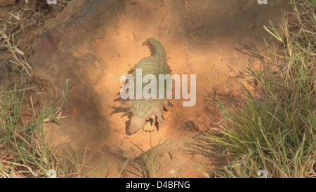 Auf dem Campus des Goddard Space Flight Center der NASA wurden Dinosaurierspuren aus der Kreidezeit entdeckt, die Licht auf das antike Leben und die Geschichte der Erde werfen. Die Entdeckung unter der Leitung des Forschers Ray Stanford bietet wertvolle Einblicke in das prähistorische Leben. Stockfoto