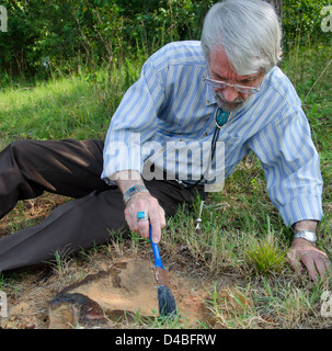 Auf dem Goddard-Campus der NASA wurden Spuren von Dinosauriern aus der Kreidezeit entdeckt. Die Fußabdrücke, die einem Nodosaurier zugeschrieben wurden, wurden von dem Forscher Ray Stanford gefunden. Diese Fußabdrücke bieten wertvolle Einblicke in das prähistorische Leben, das einst durch die Region zog. Stockfoto