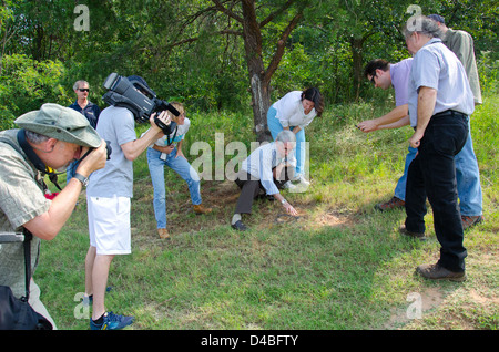 Auf dem Goddard-Campus der NASA wurden Spuren von Dinosauriern aus der Kreidezeit entdeckt, die wertvolle Beweise für prähistorisches Leben liefern. Die Fußspuren, einschließlich der eines Nodosaurus, wurden von dem Paläontologen Ray Stanford gefunden und heben die Schnittpunkte von Weltraumwissenschaft und Erdgeschichte hervor. Stockfoto
