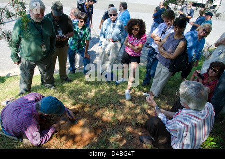 Ein verifizierter Nodosaurier-Fußabdruck, der im Goddard Space Flight Center der NASA in Greenbelt, MD, entdeckt wurde. Der Fußabdruck stammt aus der Kreidezeit und bietet Einblick in das Leben von Dinosauriern. Stockfoto