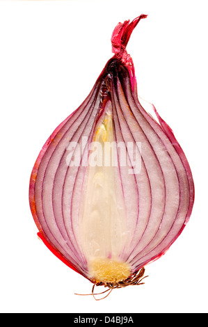 Rote Zwiebel in Scheiben geschnitten in der Hälfte Stockfoto