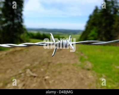 Stacheldraht-Nahaufnahme Stockfoto