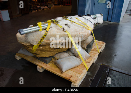 Auf dem Goddard-Campus der NASA in Greenbelt, Maryland, wurden Dinosaurierspuren aus der Kreidezeit entdeckt, die wichtige Hinweise auf prähistorisches Leben in der Gegend liefern. Stockfoto
