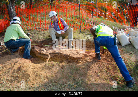 Auf dem Goddard Campus werden Dinosaurierspuren aus der Kreidezeit entdeckt, die das antike Leben in der Gegend während der Kreidezeit offenbaren. Stockfoto