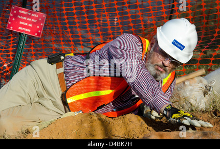 Auf dem Campus des Goddard Space Flight Center der NASA in Greenbelt, Maryland, wurden Dinosaurierspuren aus der Kreidezeit entdeckt. Diese alten fossilen Fußabdrücke geben Einblicke in das prähistorische Leben vor Millionen von Jahren. Stockfoto