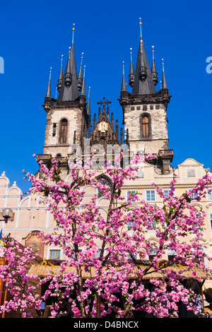 Teynkirche mit Ostern Baum im Vordergrund bei Old Town Sq Prague, Czech Republic Stockfoto