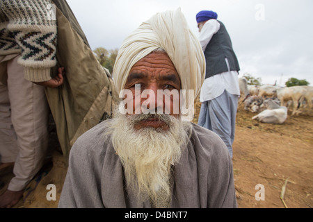 Rajput Mann, Nagaur Rinder Fair, Nagaur, Rajasthan, Indien Stockfoto