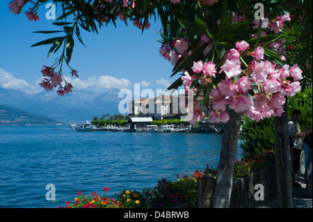 Seen in Italien, Comer See, Bellagio, Italien Juli 2010. Lakeside Stadt Bellagio am Comer See, Nord-Italien. Stockfoto