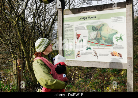 Eine Frau trägt ein Baby im Tragetuch Lesen der Infotafel für Latrigg Woods, Lake District Stockfoto