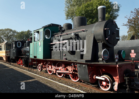 Greifenberg in Pommern, Polen, Narrow Gauge Railway Museum Gryfice Stockfoto