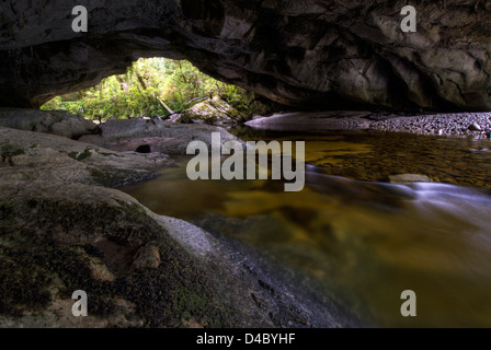 Moria Gate Arch, Oparara Becken, Kahurangi-Nationalpark, Südinsel, Neuseeland Stockfoto