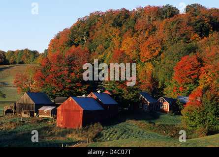 Elk280-1415 Vermont, South Woodstock Jenne Bauernhof, mit Herbstlaub Stockfoto