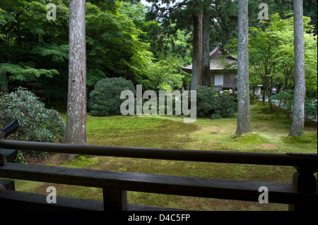 Ojo 椅子-(Amida Halle) umgeben von Moosgarten und hoch aufragenden Zeder Bäume am Sanzenin Tempel, Ohara, Kyoto, Japan. Stockfoto