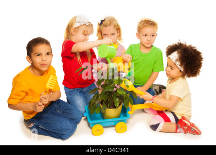 Fünf kleine Kinder spielen Pflanzen Baum und Wasser, das es im Warenkorb, isoliert auf weiss Stockfoto