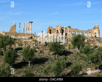 Das Bild zeigt die Ruinen der ehemaligen Römerstadt Volubilis, Marokko, 14. Dezember 2007. Im Jahr 1997 wurde die Stadt UNESCO-Welterbe erklärt. Foto: Lars Halbauer Stockfoto