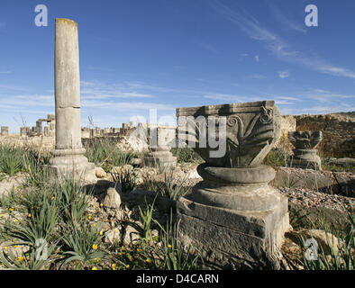 Das Bild zeigt die Ruinen der ehemaligen Römerstadt Volubilis, Marokko, 14. Dezember 2007. Im Jahr 1997 wurde die Stadt UNESCO-Welterbe erklärt. Foto: Lars Halbauer Stockfoto