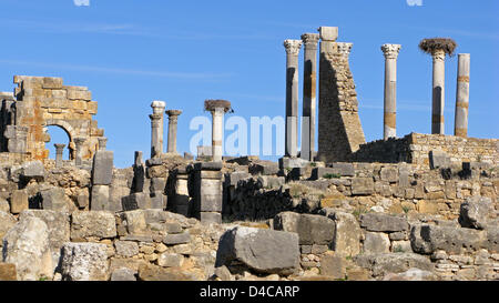 Das Bild zeigt die Ruinen der ehemaligen Römerstadt Volubilis, Marokko, 14. Dezember 2007. Im Jahr 1997 wurde die Stadt UNESCO-Welterbe erklärt. Foto: Lars Halbauer Stockfoto