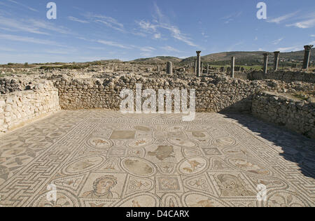 Das Bild zeigt die Ruinen der ehemaligen Römerstadt Volubilis, Marokko, 14. Dezember 2007. Im Jahr 1997 wurde die Stadt UNESCO-Welterbe erklärt. Foto: Lars Halbauer Stockfoto