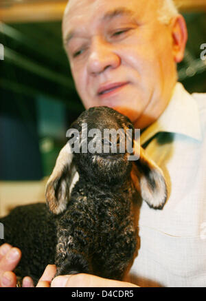 Züchter Wilfried Urban präsentiert ein Neugeborenes Karakul-Lamm namens 'Amadeus' auf der internationalen Grünen Woche Berlin, 20. Januar 2008. Die gefährdeten Arten stammt aus Usbekistan und in mehreren Ländern gezüchtet. Foto: Nestor Bachmann Stockfoto