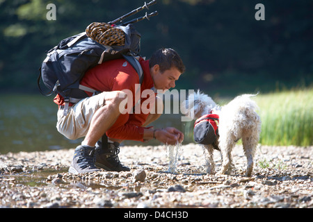 Wanderer mit Hund am Feldsee, Blackwood Forest, Baden-Württemberg, Deutschland, Europa Stockfoto