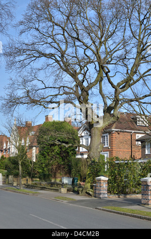 Winnington Road, Hampstead Garden Vorort N2, London, UK. Stockfoto