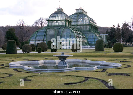 Das Bild zeigt das Palmenhaus in den Gärten von Schönbrunn in Wien, Österreich, 7. Februar 2008. Foto: Friso Gentsch Stockfoto