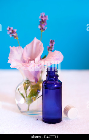 Blaue Glasflasche und Lavendel und Orchidee in einer Blumenvase Stockfoto