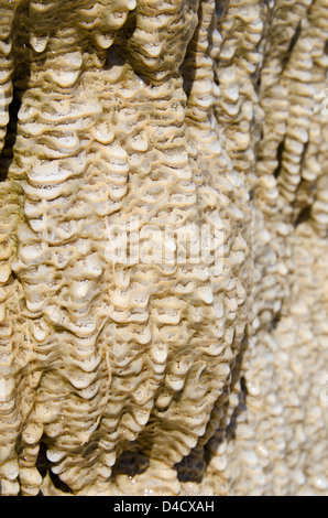 Detailansicht von Mineralvorkommen in Hierve el Agua Mineral Springs, Oaxaca, Mexiko. Stockfoto