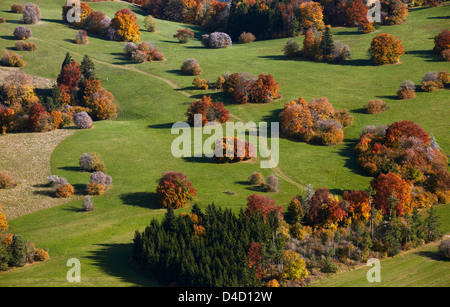 Herbstliche Wiese mit Sträuchern und Bäumen, Luftaufnahme Stockfoto