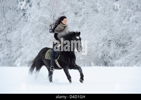 Junge Frau Reiten auf Pferd im Schnee Stockfoto