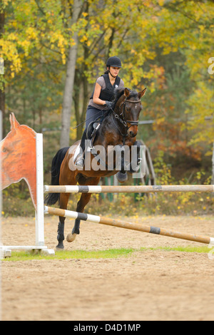 Junge Frau auf Pferd springen einen Kurs Stockfoto