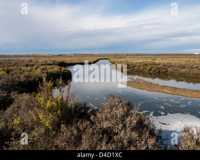 Creek und Salzwiesen Ria Formosa Naturpark in der Nähe von Faro Portugal Stockfoto