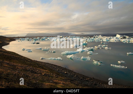 Eisberge in Abend in Gletscher See Joekulsarlon, Island Stockfoto