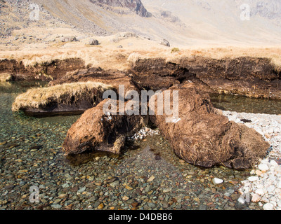 Große Teile des Torf erodiert seitens des oberen Esk von extremen Hochwasserereignissen im Lake District, UK. Stockfoto